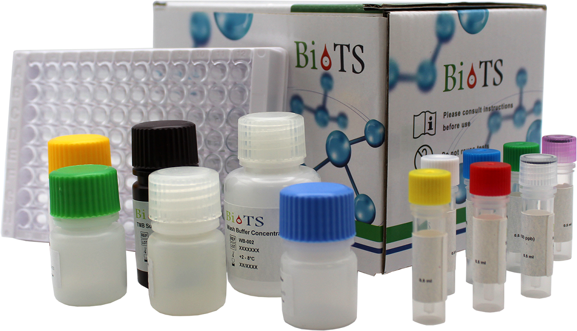 沙丁胺醇定量檢測試劑盒